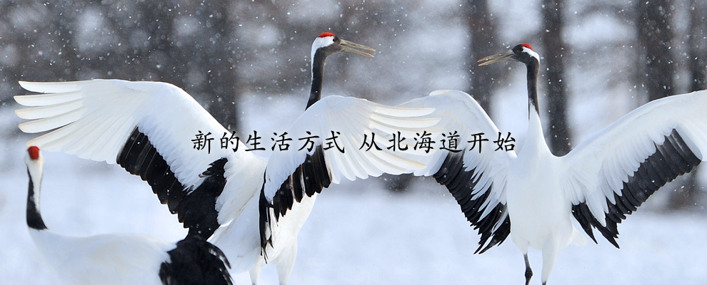 新的生活方式 从北海道开始