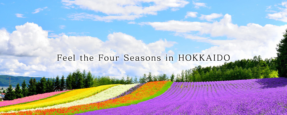 Feel the Four Seasons in HOKKAIDO
